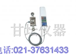 泰安數(shù)顯推拉力計(jì),泰安指針式推拉力計(jì),上海泰安拉力計(jì)價(jià)格